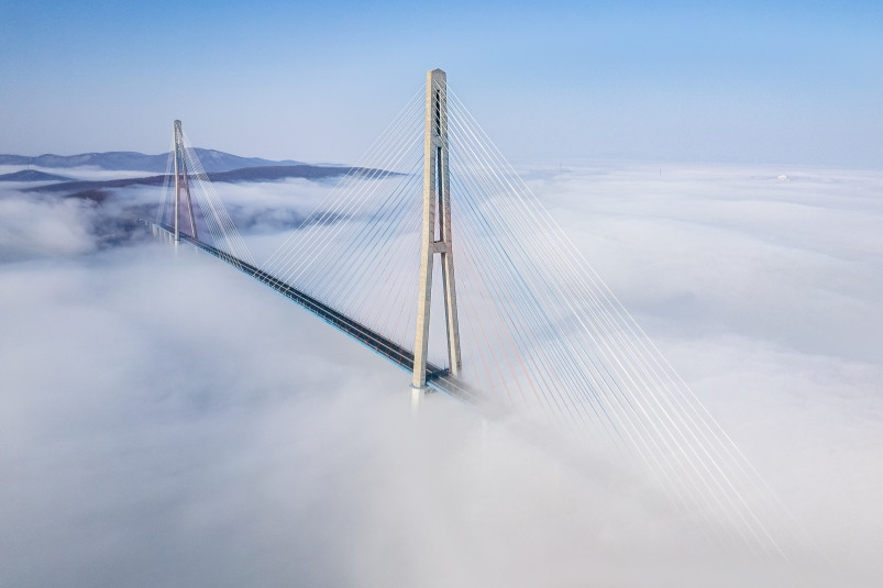 Как “приморские” депутаты Госдумы Роза Чемерис и Евгений Попов мост не поделили