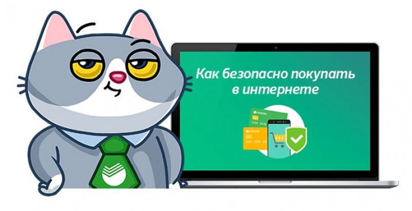 Как СберКот работать пошёл: игра для молодёжи привлекла в Сбер новых предпринимателей