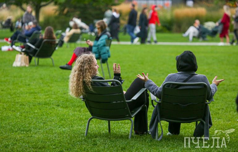Кто вы в пылу ссоры — черепаха, акула или сова? Психолог назвал пять ярких психотипов