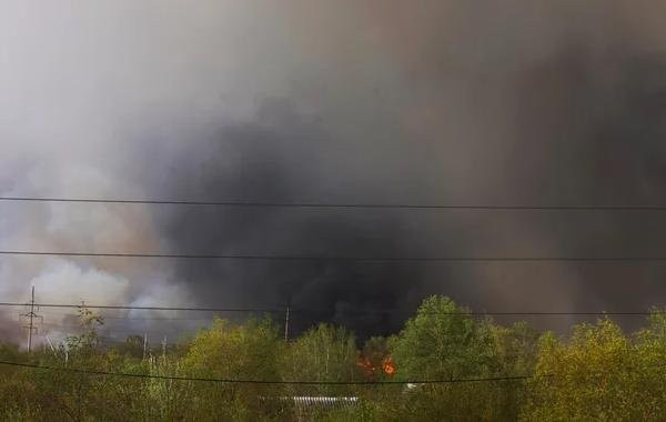 Массированная ракетная атака на Украину: в Киеве гремят мощные взрывы, данные на 29 мая