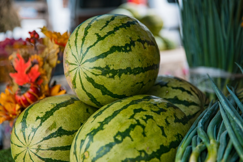 Места для торговли дынями и арбузами предлагают бизнесменам во Владивостоке