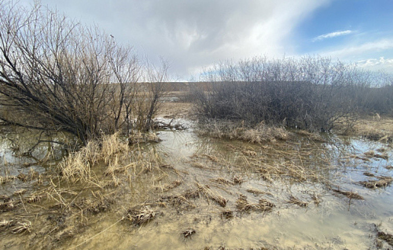 На предприятие челябинского олигарха из списка Forbes нагрянул Росприроднадзор