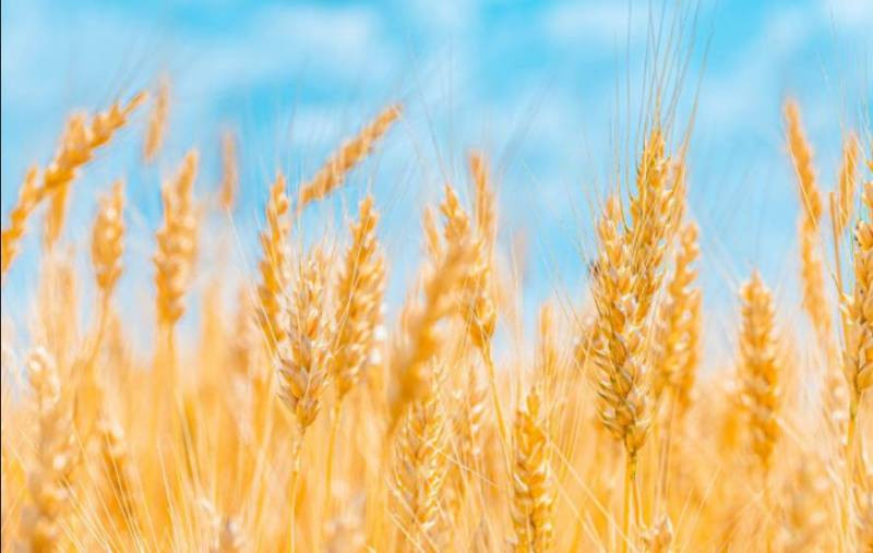 Народные и церковные праздники, которые отмечают 30 мая 2023 года