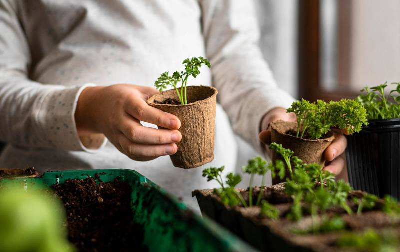 Огородные дела на Первомай 2023: лунный календарь подскажет, что нужно сажать на даче с 1 по 10 мая