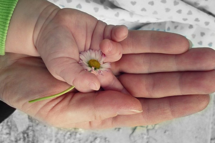 Планирование пола будущего ребенка: инфоцыганство или действующая методика