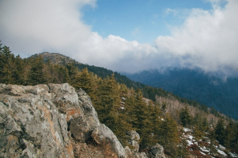 Подробности гибели участницы забега на гору Фалаза озвучили организаторы