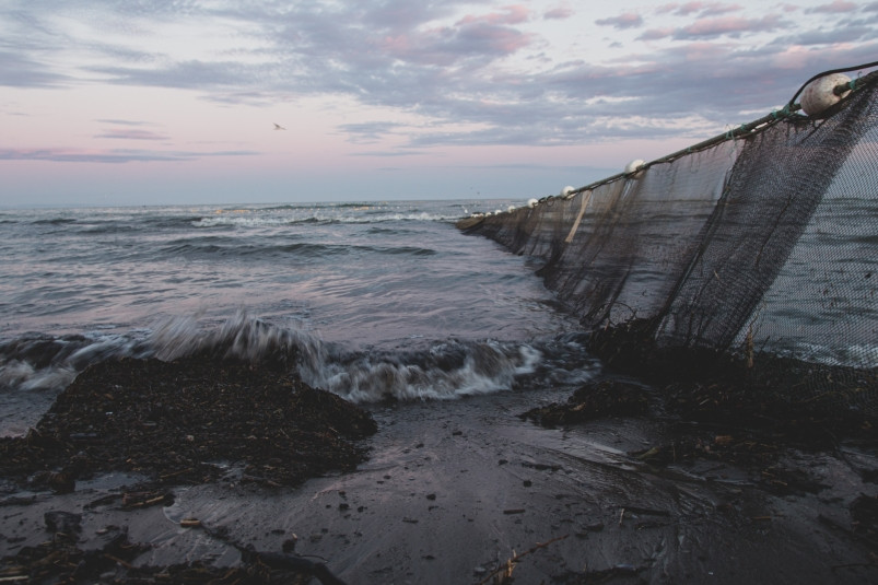 Прибыль рыбаков снизилась и продолжит снижаться: прогнозы ВАРПЭ подтвердило Росрыболовство