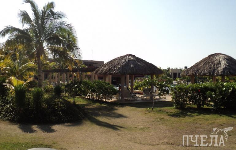 Прямой рейс свяжет Челябинск с китайским тропическим курортом Санья