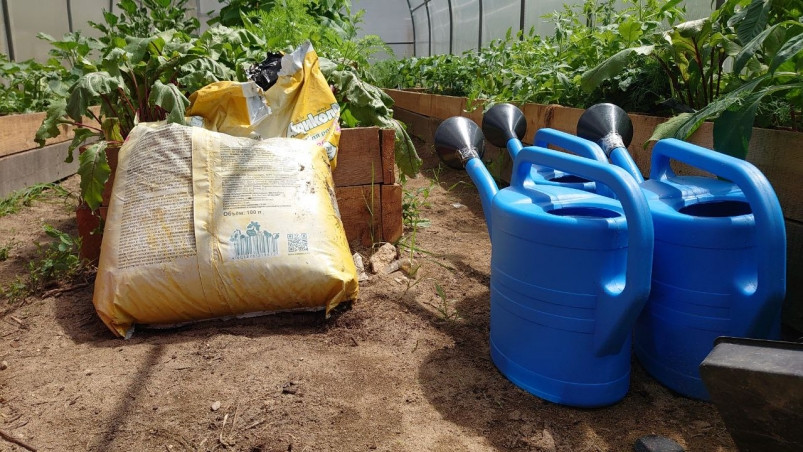 Штрафы до 50 000 рублей введены для дачников – за что попадет