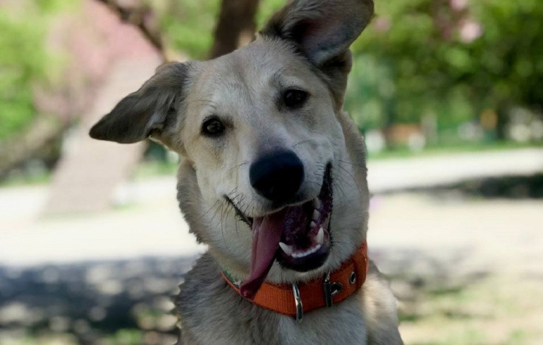 Синоптики сообщили, когда в Челябинской области потеплеет выше +20 градусов