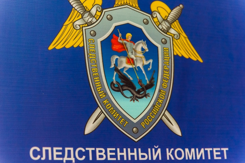 Следком возбудил уголовное дело по факту нападения собаки на 7-летнего ребенка в Находке