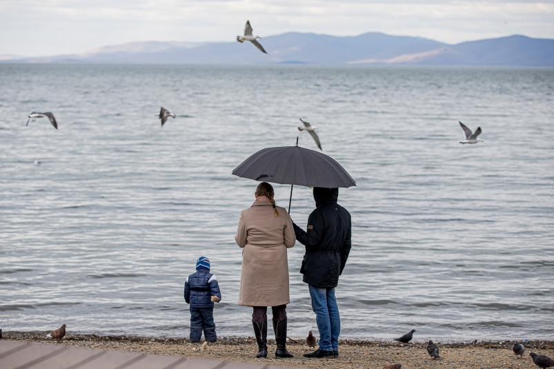 Следующая рабочая неделя в Приморье будет пасмурной