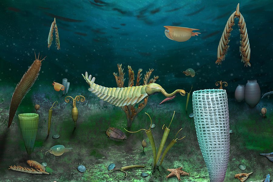 Среднеордовикский «морской карликовый мир» обнаружен в Британии