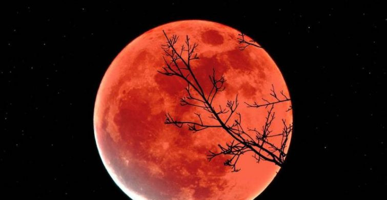 Сутки возможностей наступили: загадываем желания с 18:15 и до 22:32 по московскому времени 5 мая 2023 года в магическое полнолуние