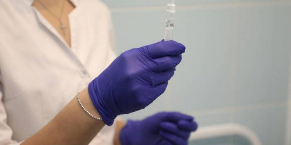 Активность свиного гриппа 2022/2023 в России начала расти