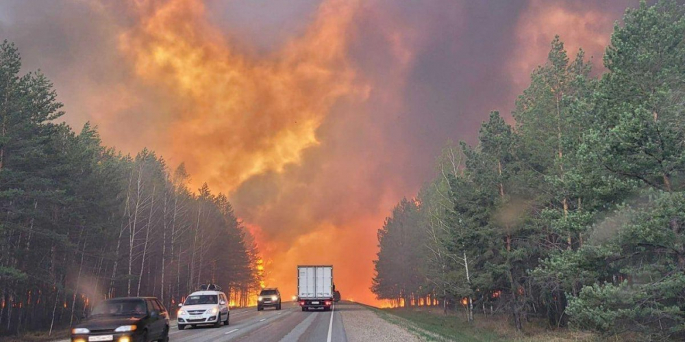 Число лесных пожаров в Тюменской области за сутки выросло до 17. Почему в СССР не было такого огромного числа лесных пожаров, как сейчас.