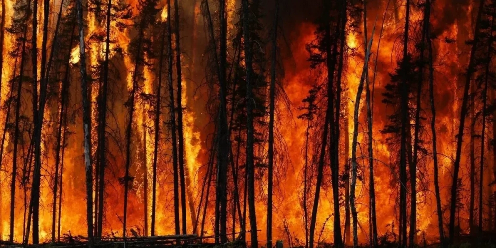 Горит Россия: повторят ли лесные пожары 2023 года рекорд двухлетней давности — какие регионы полыхают