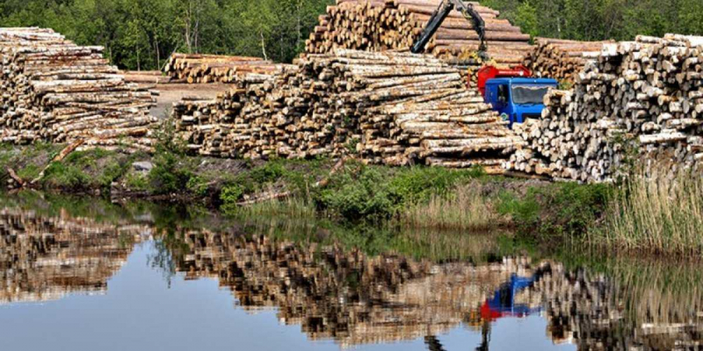 Олигархи снова пытались завладеть главным богатством России