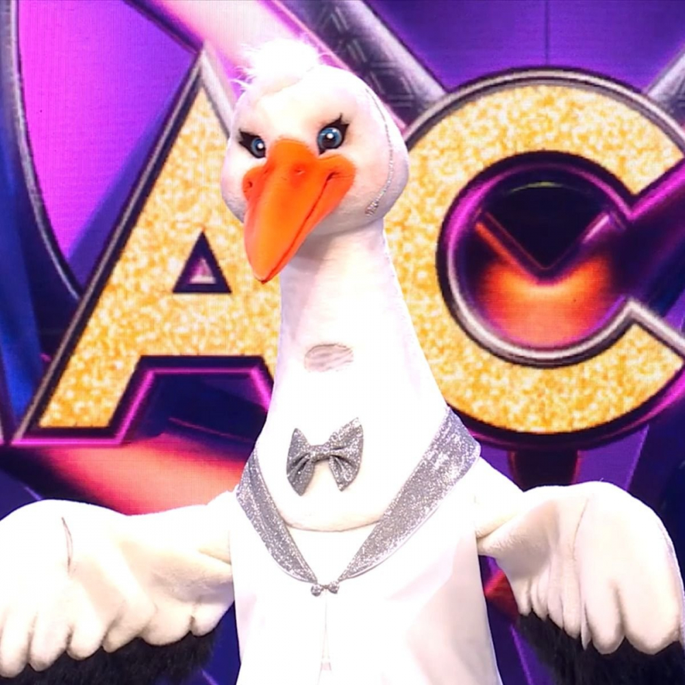 Певица РФ Анита Цой пряталась в костюме Аиста в финале шоу «Маска»