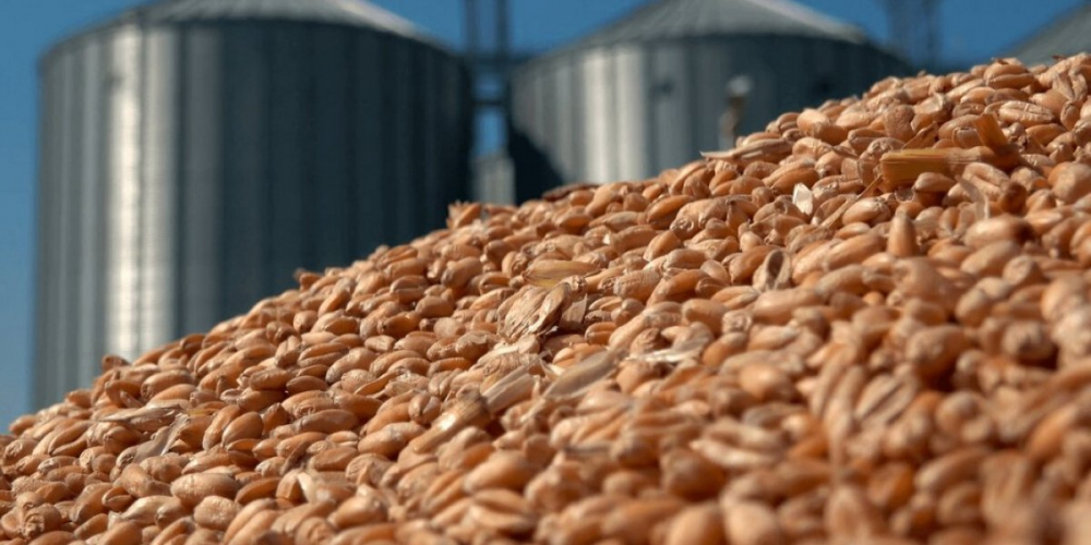 Россия отнимает украинские экспортные рынки пшеницы