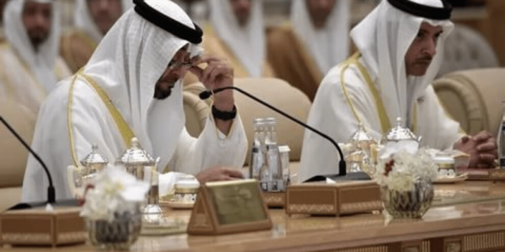 Станет ли Турция партнером Эмиратов