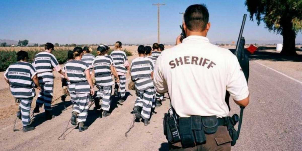 Тюремный – самый прибыльный бизнес в США