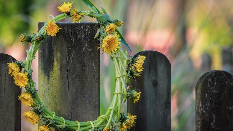 Троица в 2023 году: подготовка к празднику и главные запреты дня