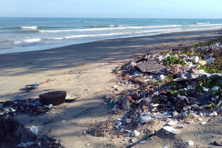 Ученые предупреждают, что борьба за экологию может разрушить новую среду обитания