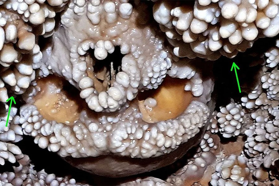 Ученые выяснили, что «Человек из Альтамуры», найденный в стене пещеры, умер прискорбно