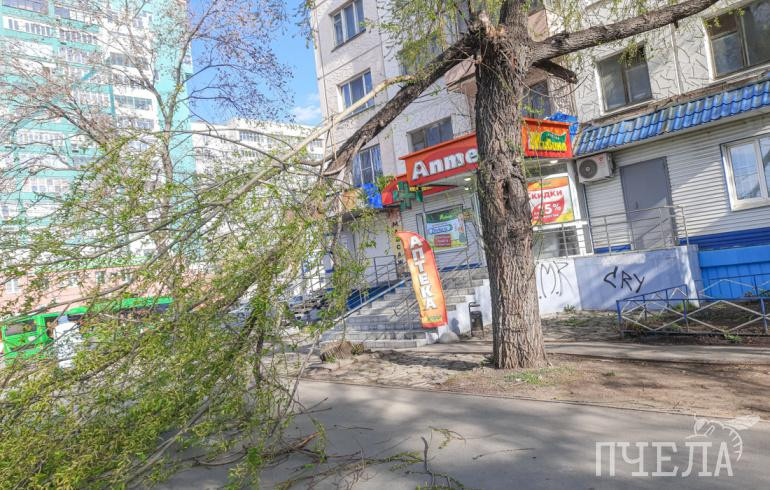 В Челябинской области из-за мощного ветра объявили штормовое предупреждение