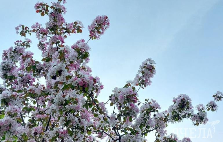 В Челябинской области на несколько дней зарядили дожди