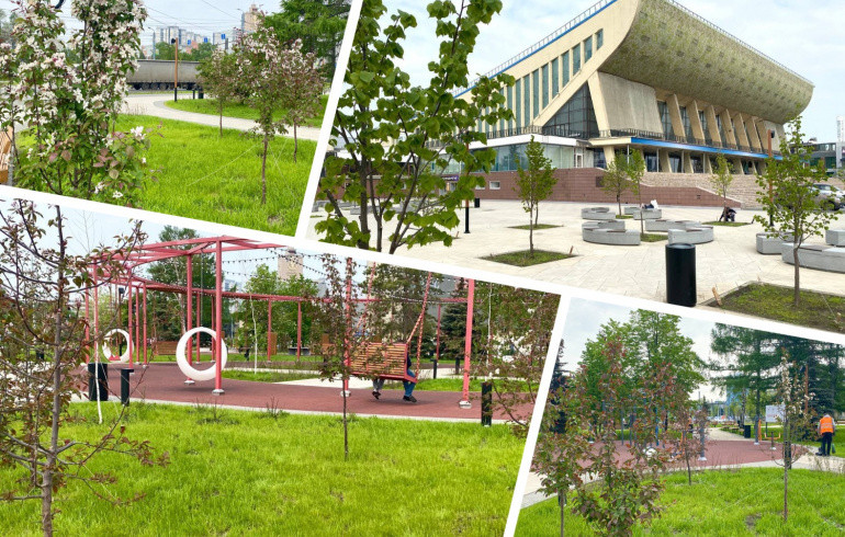 В челябинском сквере заменят девять неприжившихся деревьев