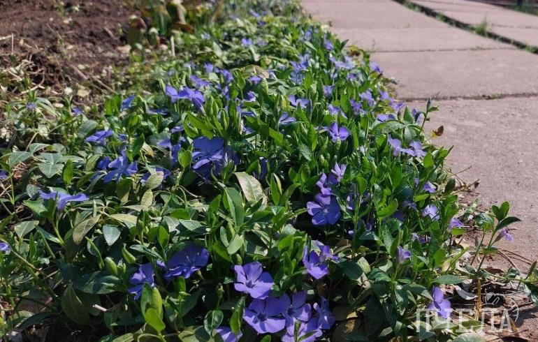 В Челябинскую область пришла 28-градусная жара