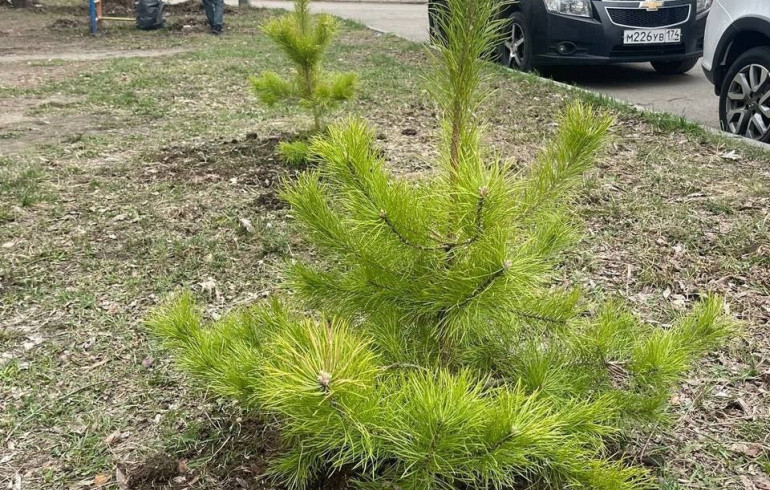 В одном из районов Челябинска благоустроили три двора