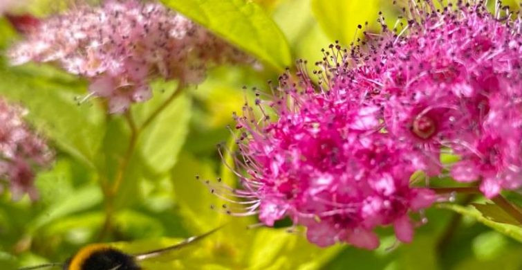 В воскресенье, 7 мая 2023 года, отмечается народный праздник Евсеев день