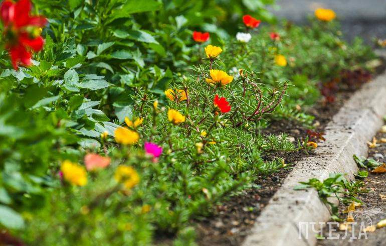 Власти Челябинска запретили установку торговых киосков на газонах