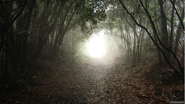 Загадка утренней смерти: почему кончина приходит ранним утром