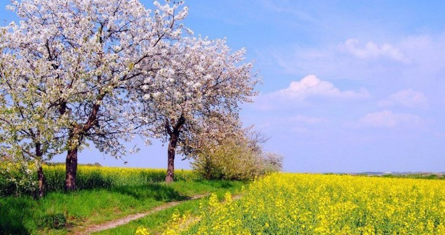 Значение старинных примет в праздник 2 мая 2023 года, строгие запреты дня