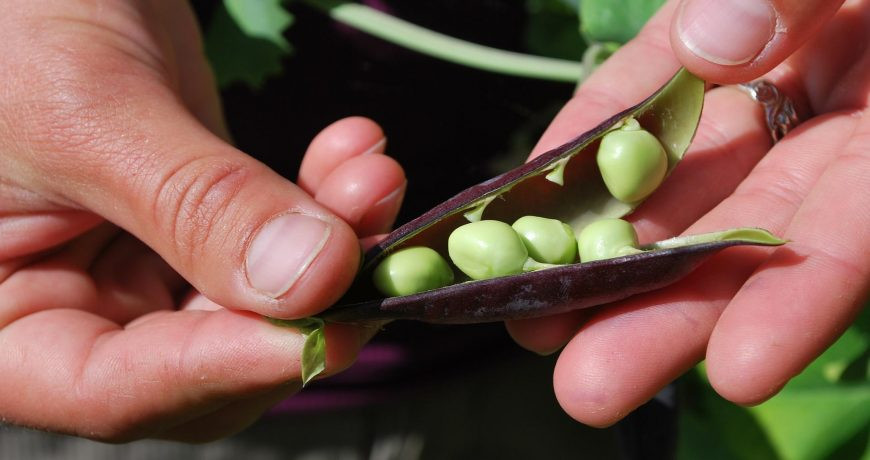 Значение старинных примет в праздник 9 мая 2023 года, строгие запреты дня