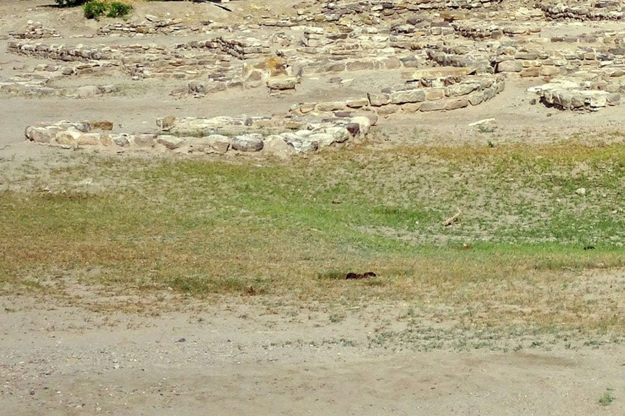 Археологи впервые обнаружили печать Юрия Долгорукого при раскопках под Суздалем