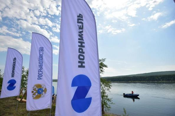Глава Росрыболовства: «Уверен, что «Норникель» все обязательства по восстановлению рыбных запасов выполнит» - Новая общественная газета