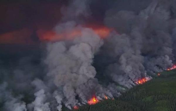 Масштабные лесные пожары в Казахстане: число погибших возросло, подробности на 11 июня