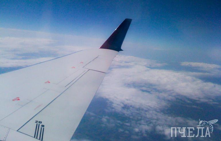 Между Челябинском и Минском планируют запустить прямой авиарейс