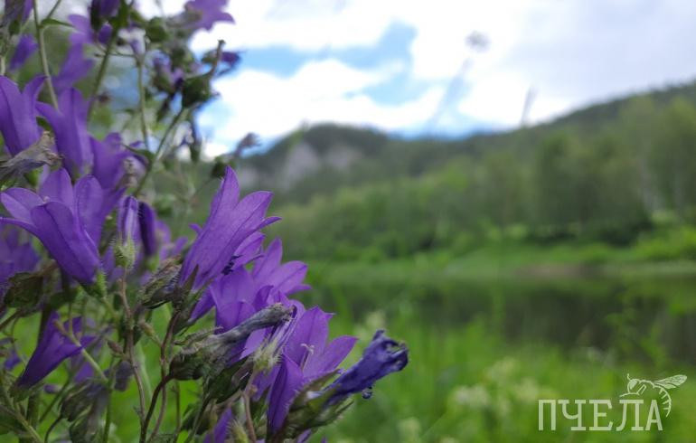 МТС на треть усилила сеть на набережной реки Ай, откуда начинаются сплавы