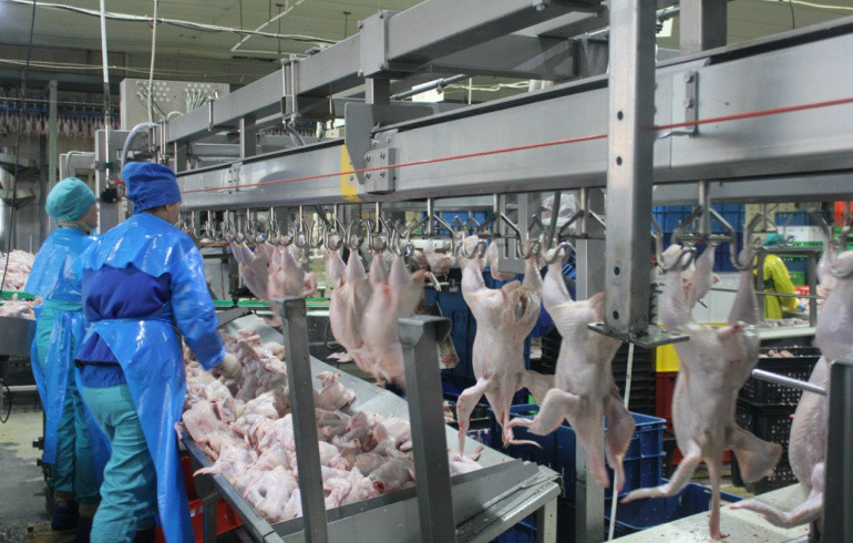 На Южном Урале не хватает арматурщиков, терапевтов и обработчиков птицы