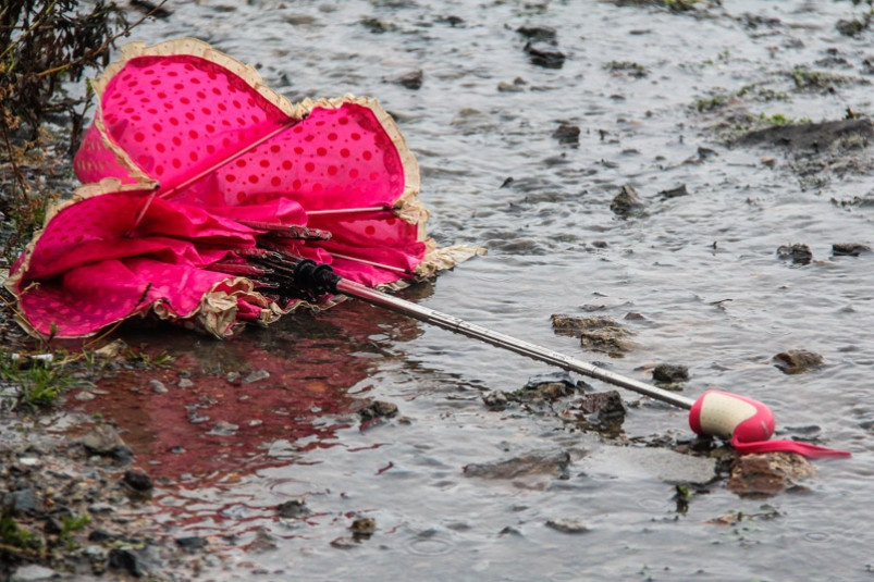 Начало рабочей недели в Приморье будет дождливым, но теплым