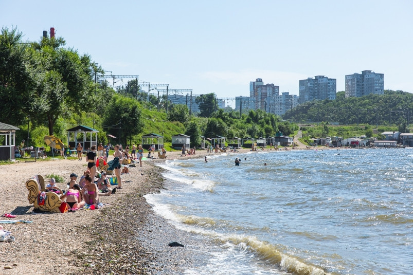 Новые детали о смерти очень редкого зверя на пляже в Приморье – ученые