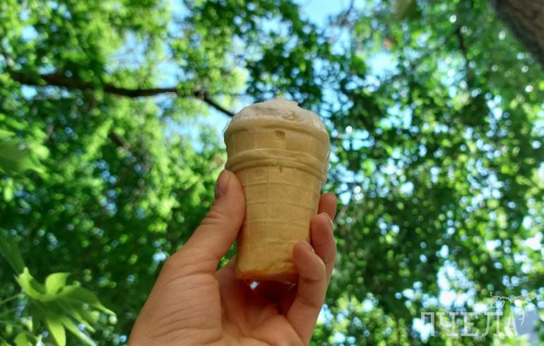 Нутрициолог подсказала простой и гениальный лайфхак по выбору мороженого