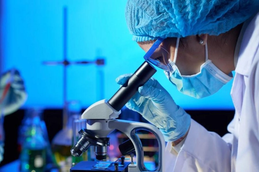 Российские ученые нашли потенциальную основу новых антибиотиков