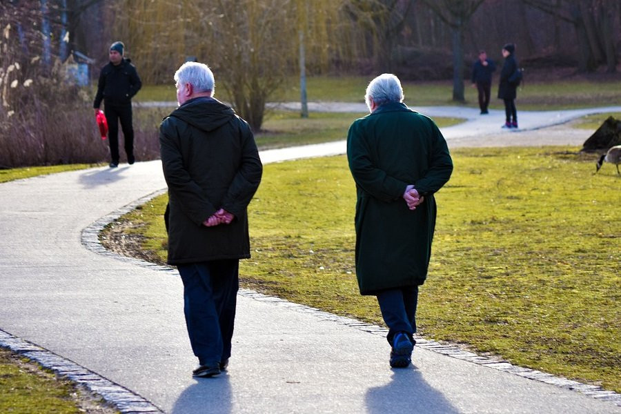 Science: аминокислота таурин, содержащаяся в напитках-«энергетиках» замедляет старение